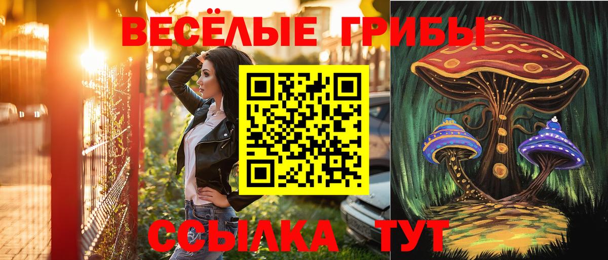 Щёлково  Псилоцибиновые грибы GOLDEN TEACHER  Вход с VPN 