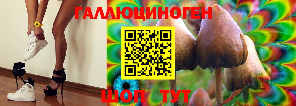 Псилоцибиновые грибы GOLDEN TEACHER Щёлково
